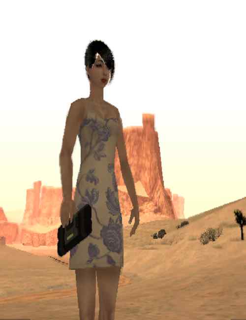 图片[13]-GTA 侠盗猎车 圣安地列斯 MOD 性感美女小姐姐合集 超强人物包-IGTA侠盗飞车资源网-GTAMOD下载站