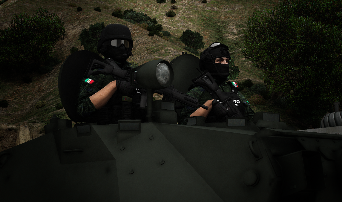 图片[3]-[GTA5MOD]法国潘哈德ERC-90 F4 Lynx – 墨西哥 [附加_ FiveM]-IGTA侠盗飞车资源网-GTAMOD下载站