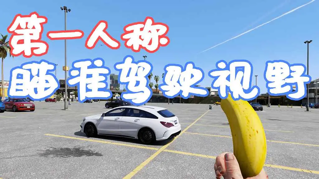 GTA5 第一人称 瞄准驾驶 视野 FoV MOD 覆盖版【5.16MB】-IGTA侠盗飞车资源网-GTAMOD下载站